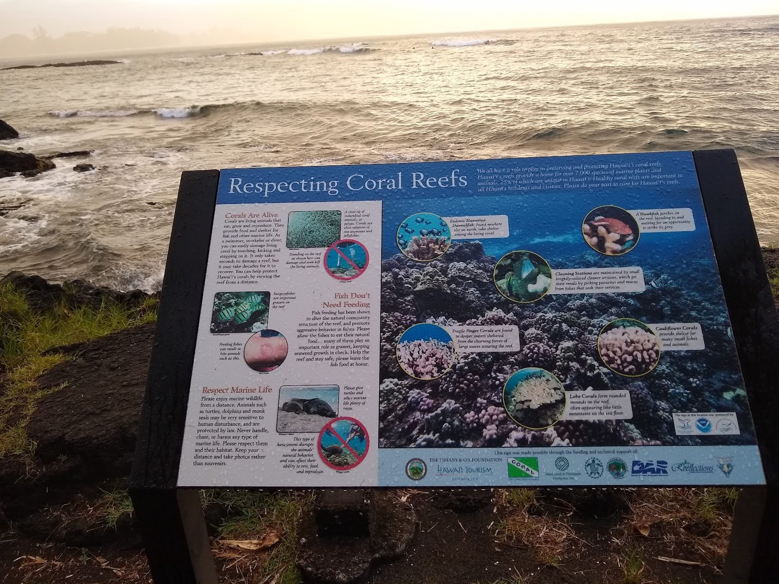 richardson-ocean-park-4