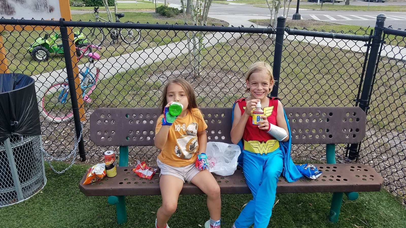 royal-roy-eden-jr-community-playground-2