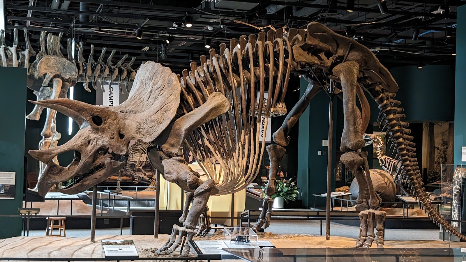 science-museum-of-minnesota-3