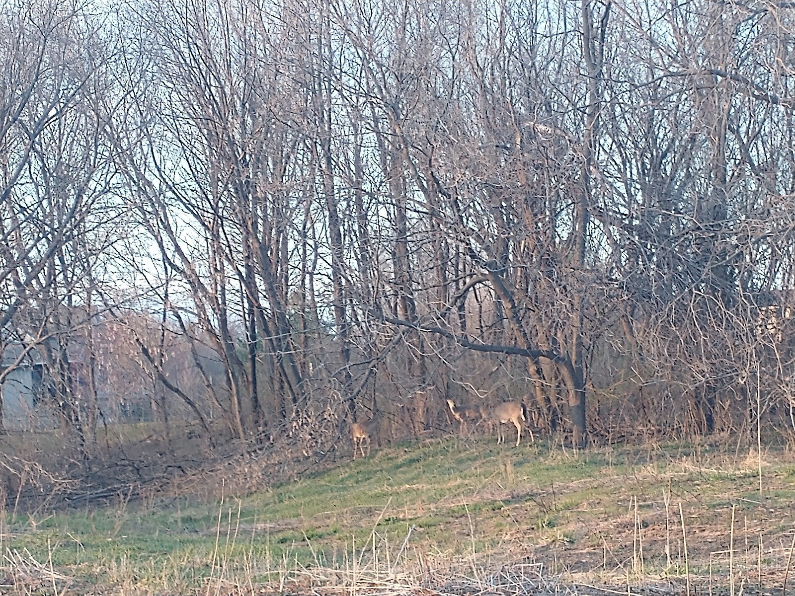 scott-park-2