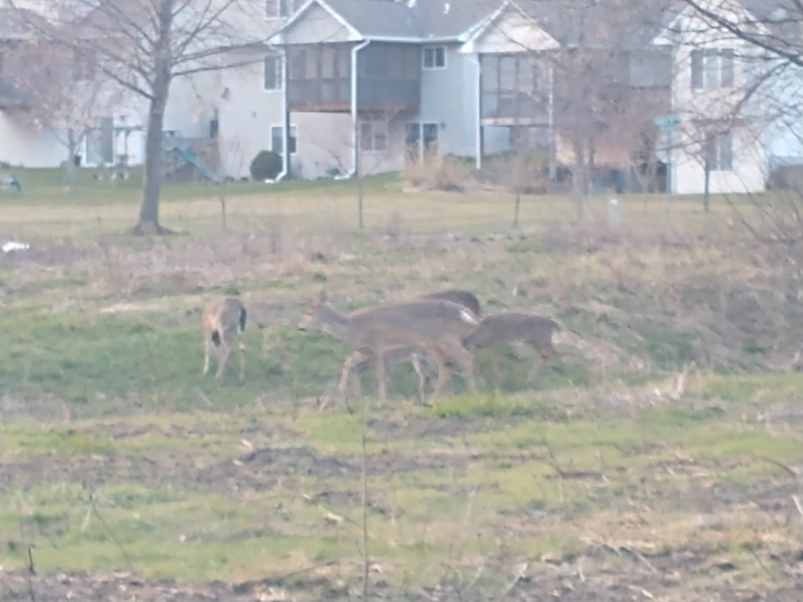 scott-park-4
