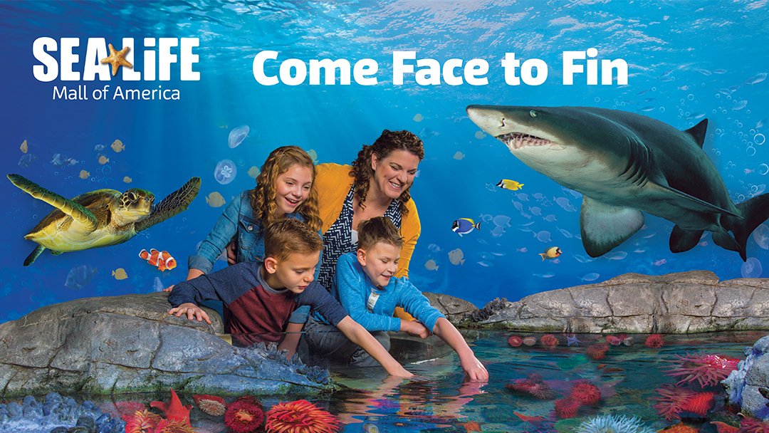 sea-life-at-mall-of-america-3