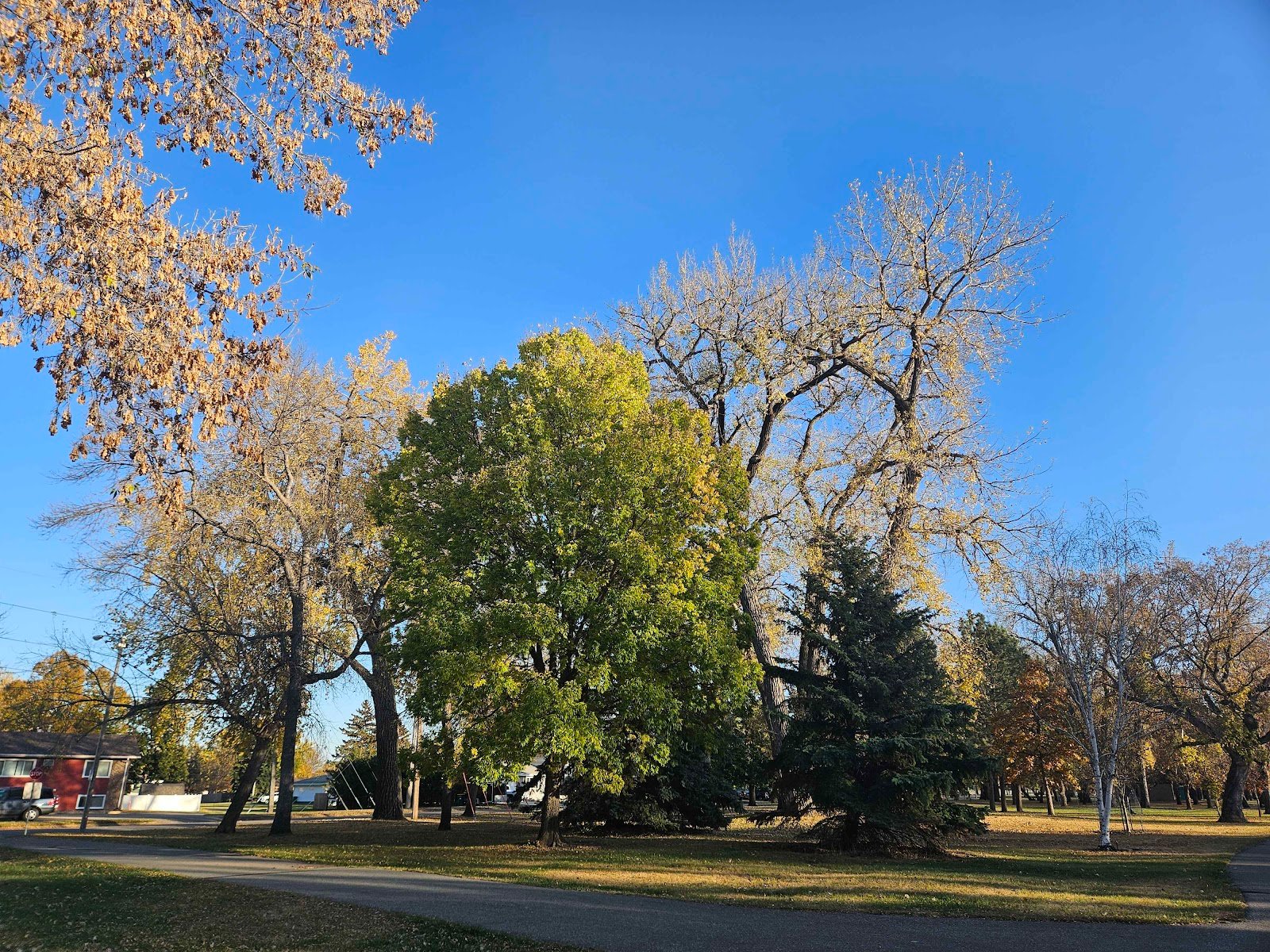 sertoma-park-2