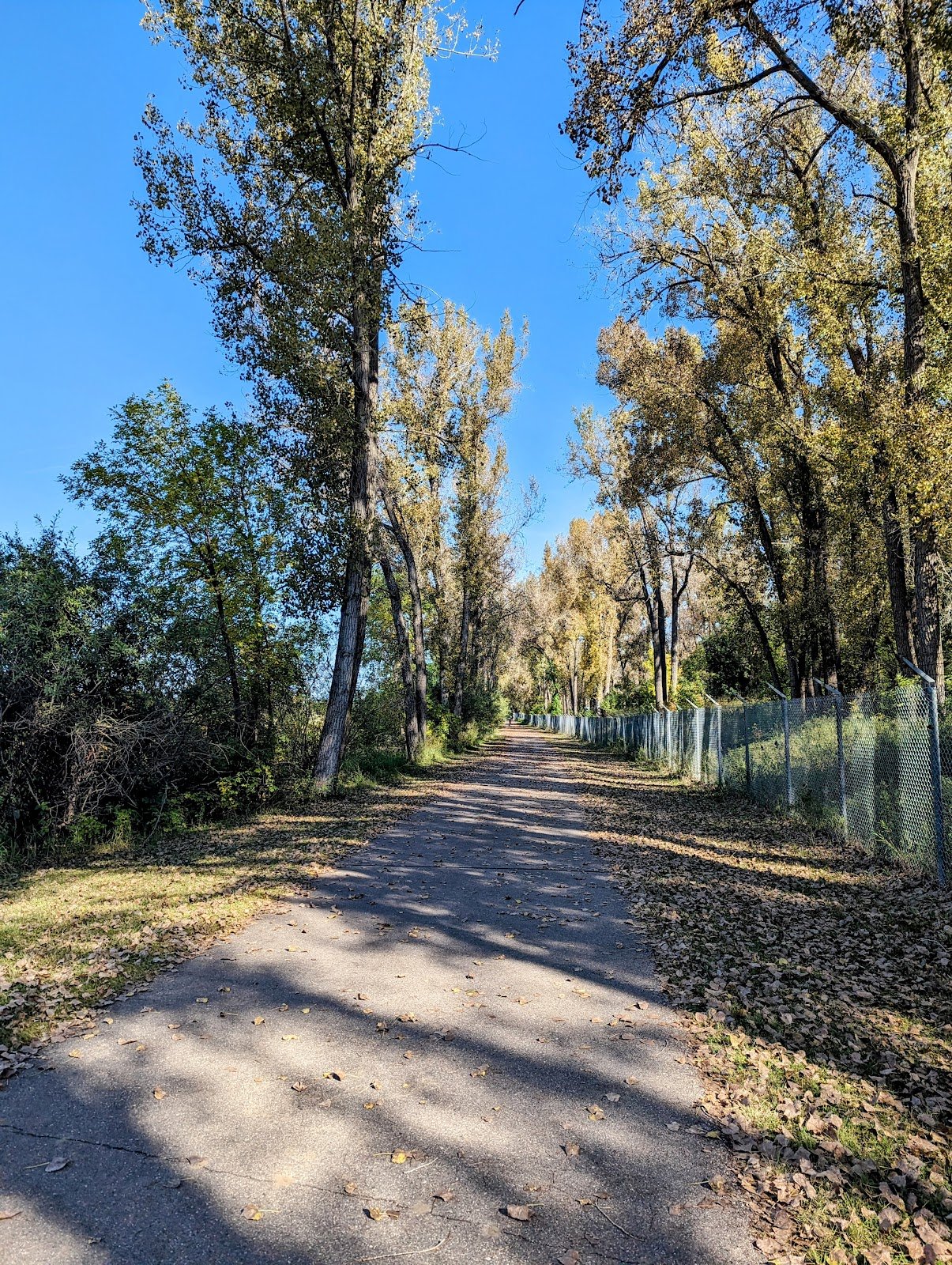 sertoma-park-3
