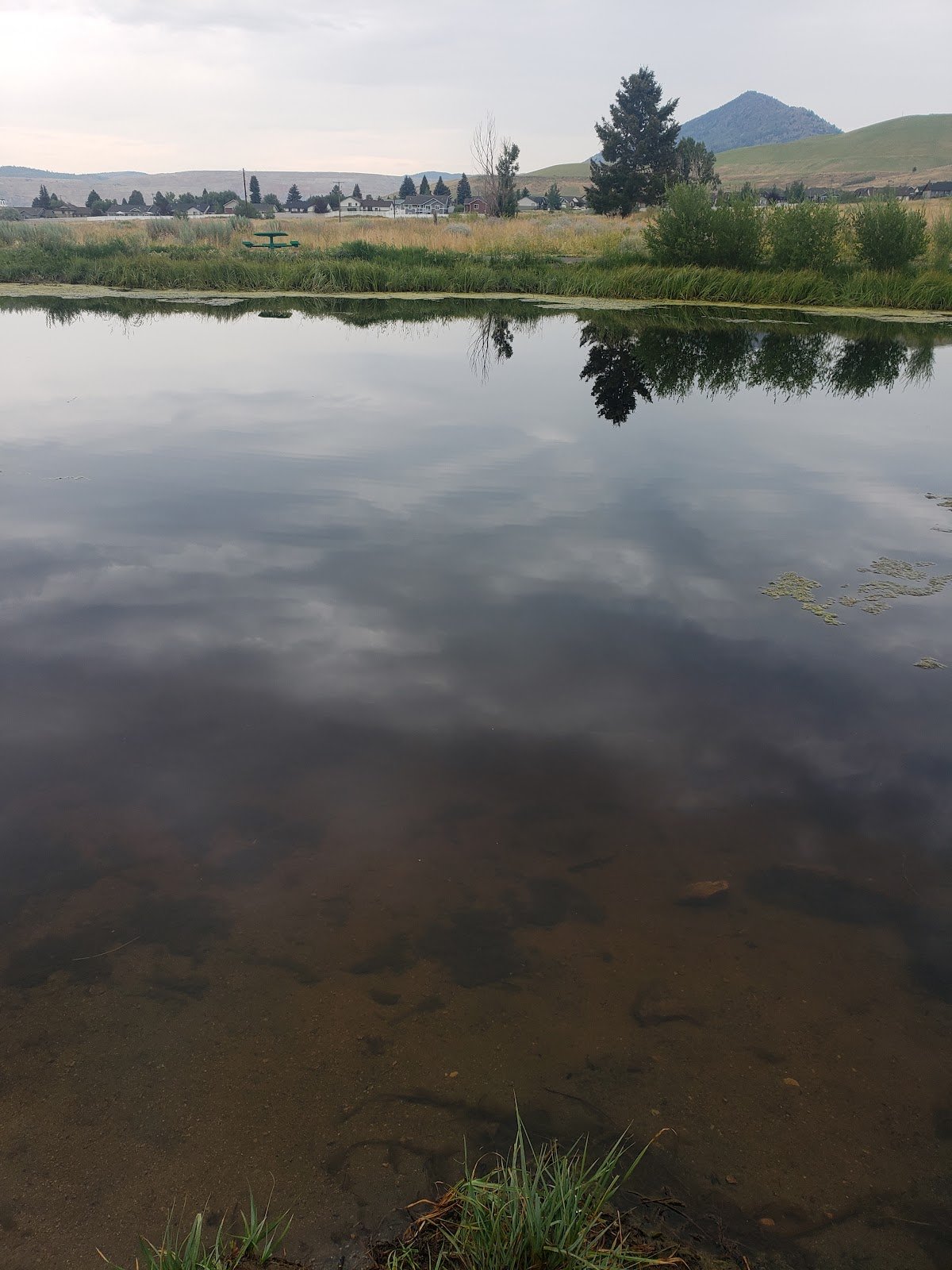 skyline-dog-park-kids-fishing-pond-2