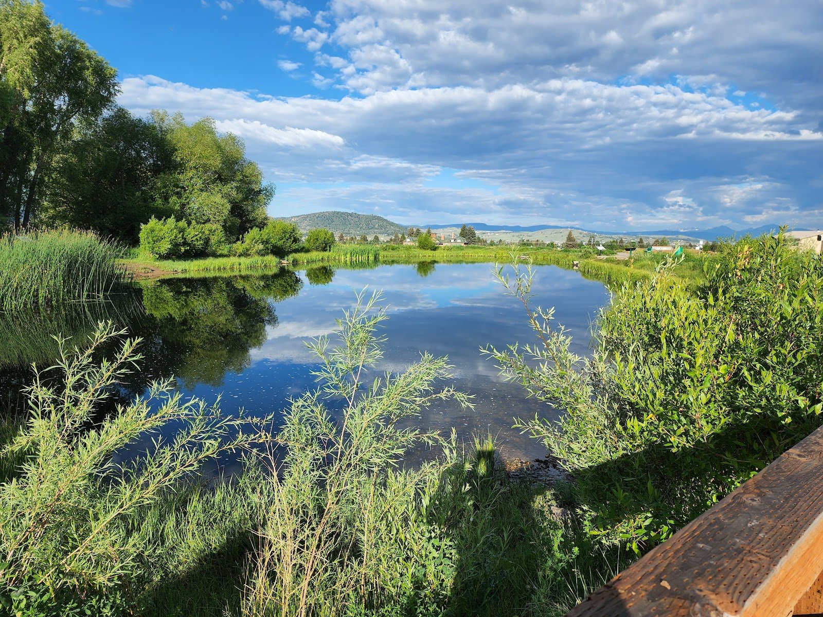 skyline-dog-park-kids-fishing-pond-3