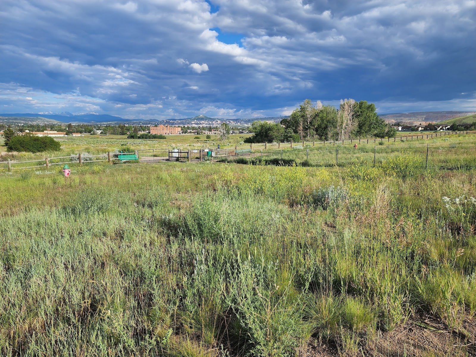 skyline-dog-park-kids-fishing-pond-4