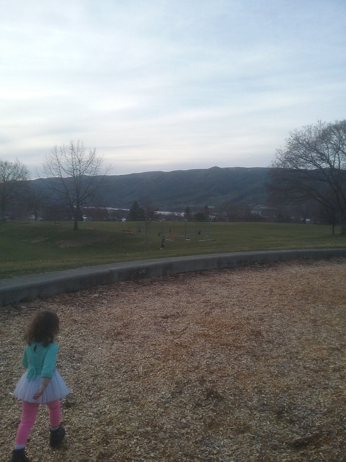 softball-field-sunset-park-2