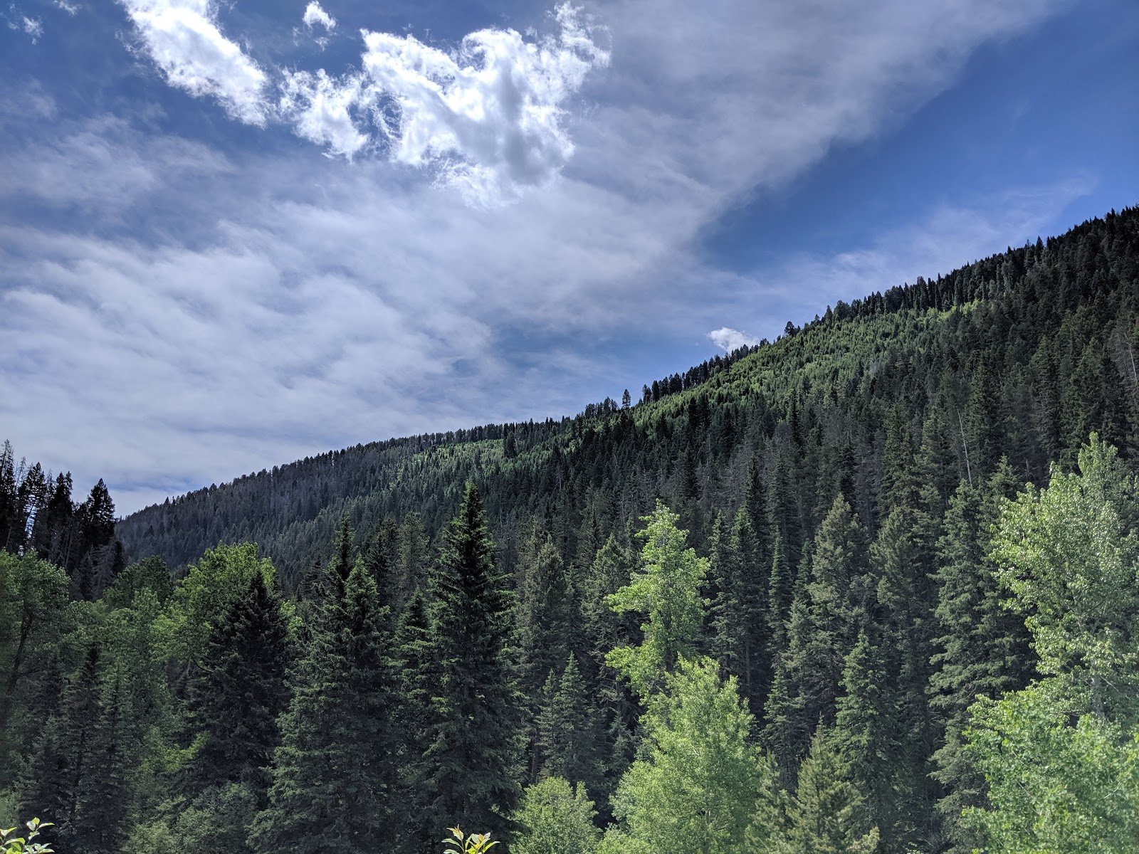 sourdoughbozeman-creek-trailhead-1