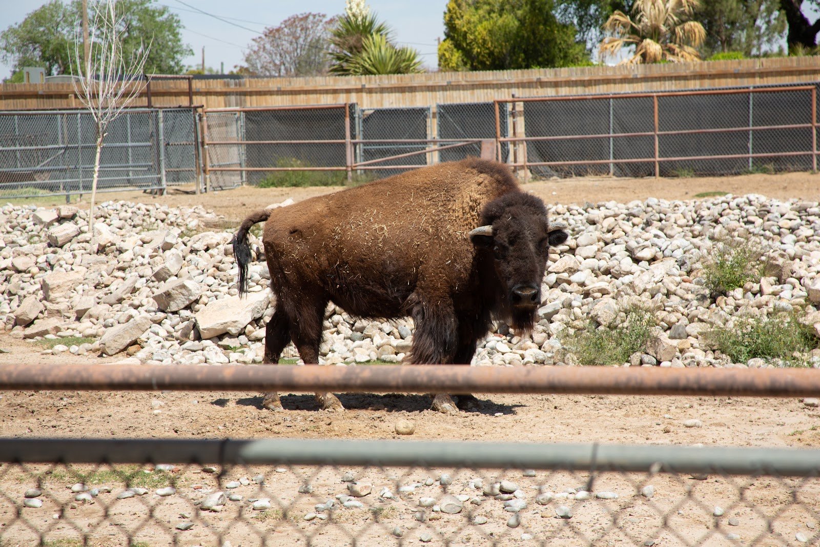 spring-river-zoo-4
