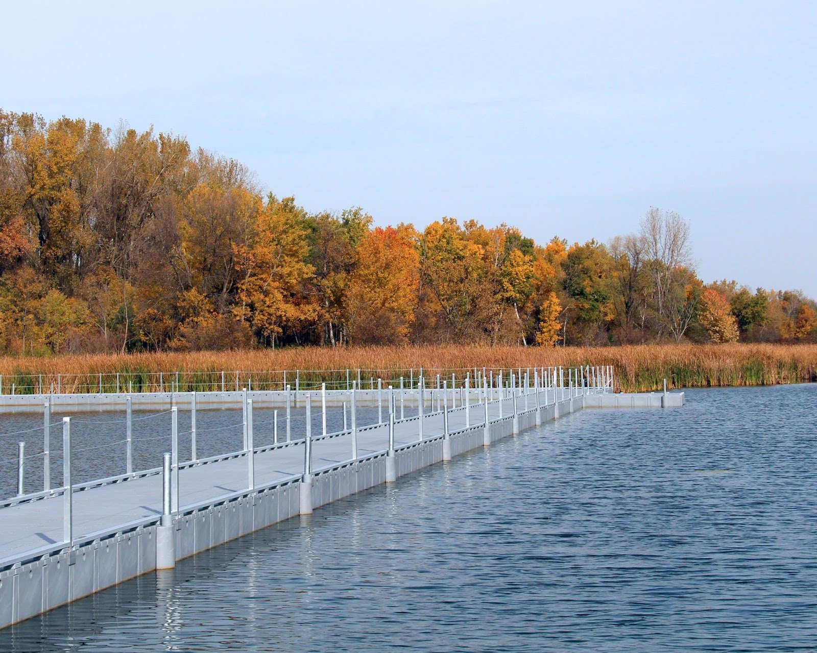 springbrook-nature-center-1