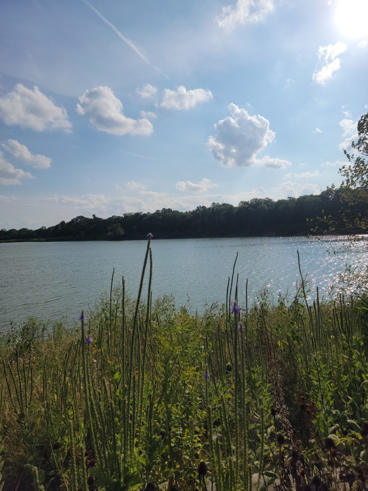 terry-trueblood-recreation-area-3