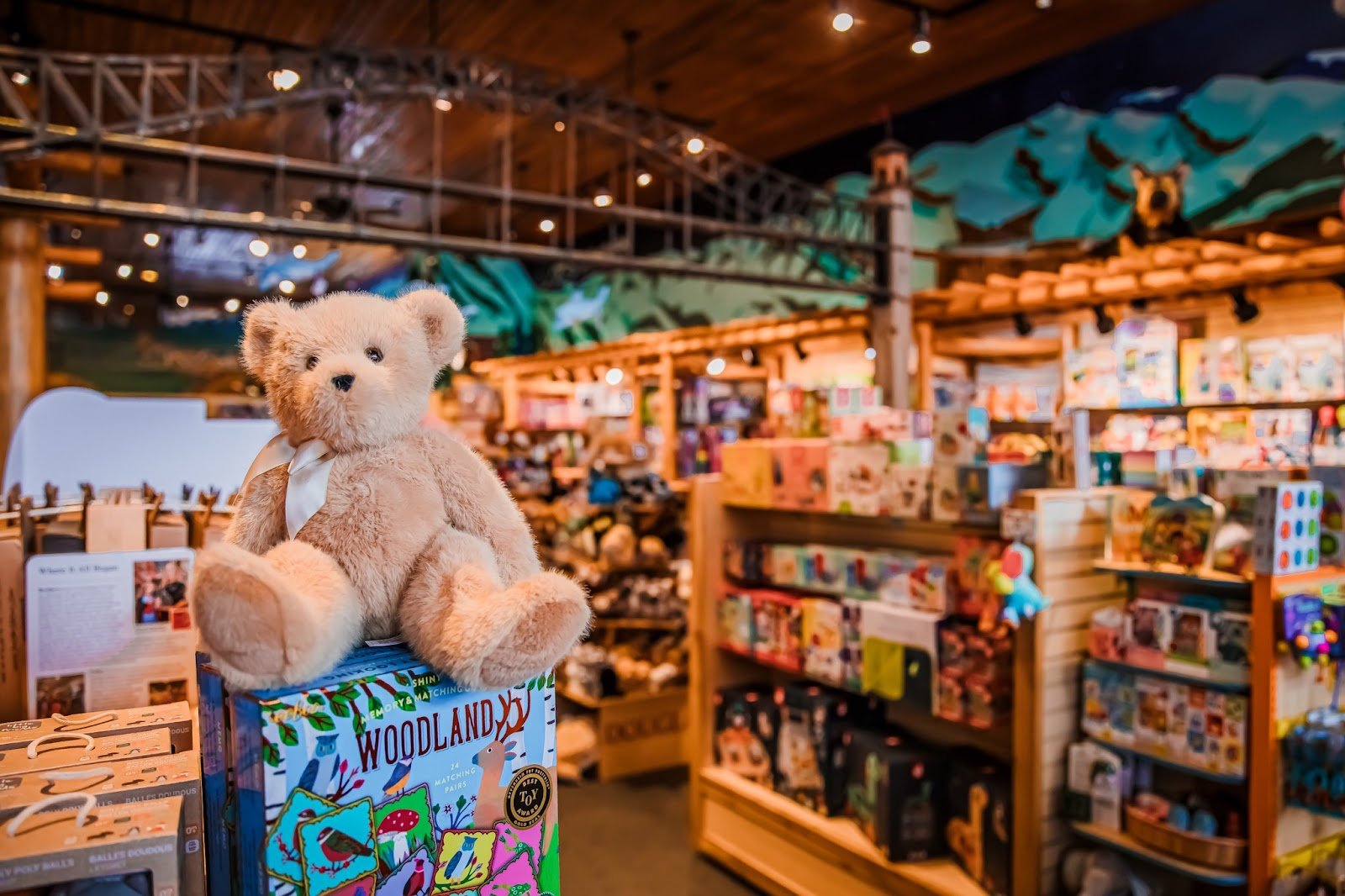 the-great-rocky-mountain-toy-company-2