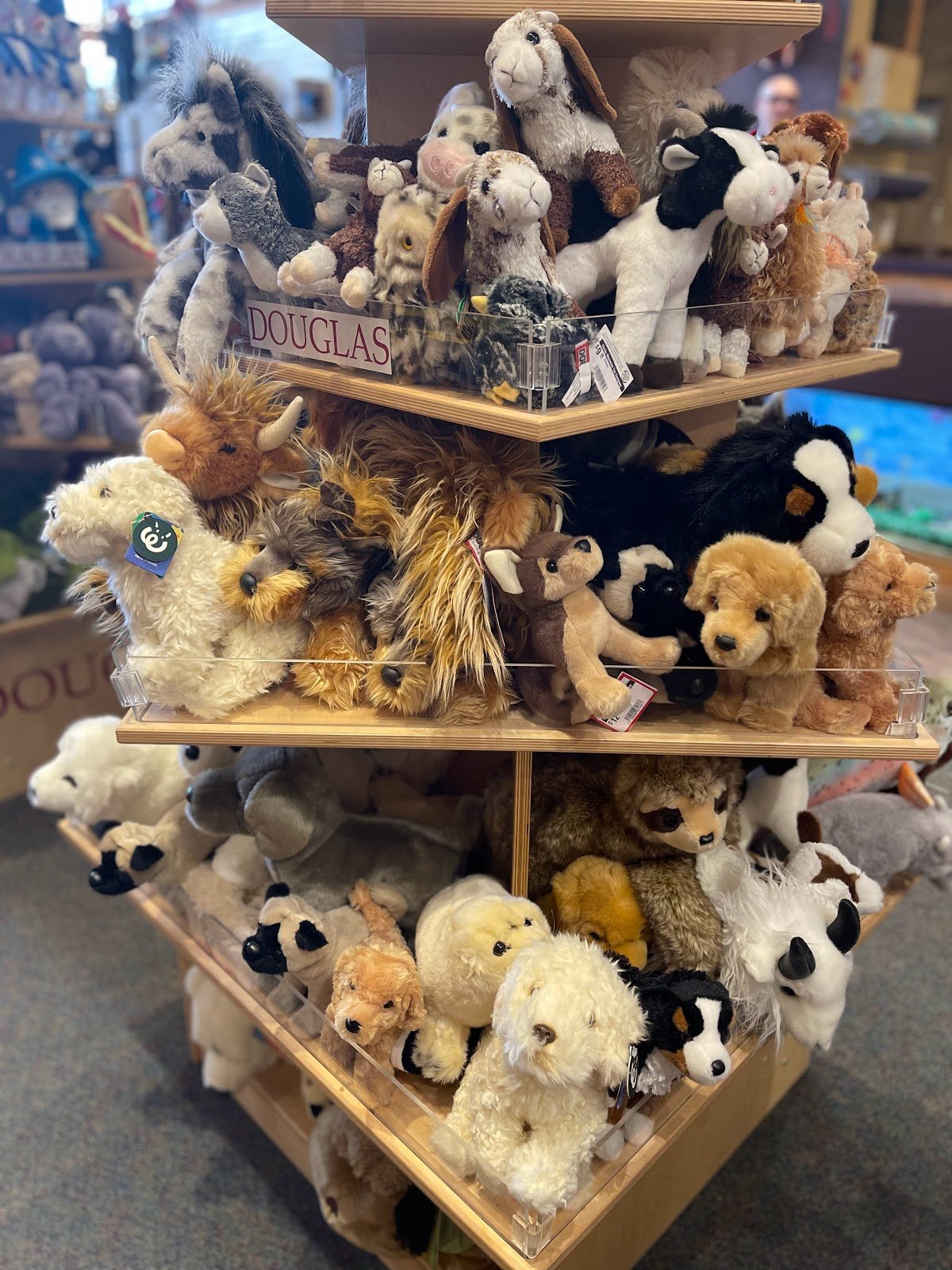 the-great-rocky-mountain-toy-company-4