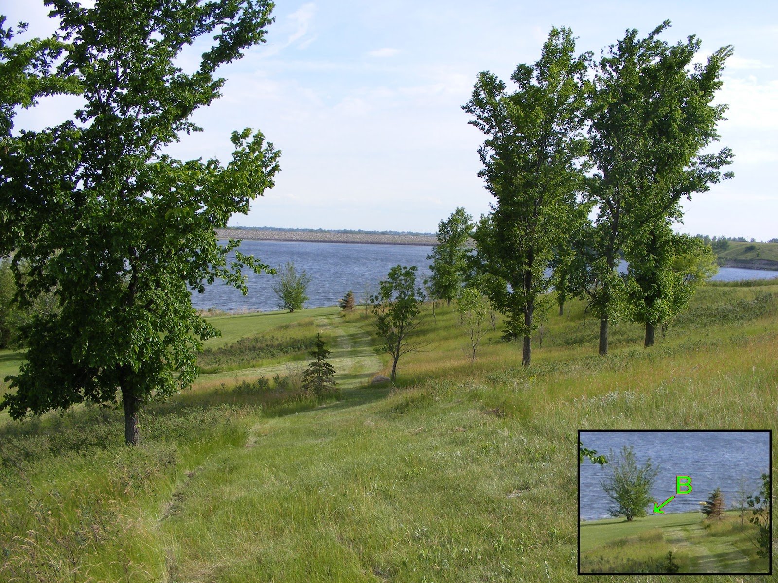 the-island-course-disc-golf-course-1