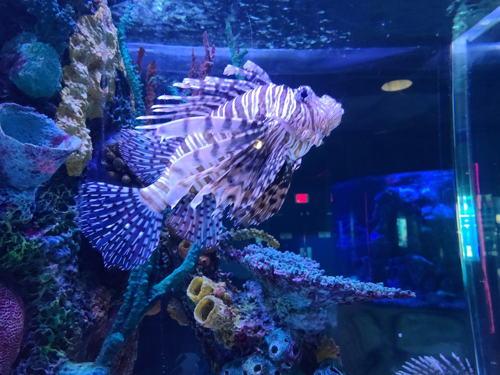 the-maritime-aquarium-at-norwalk-2