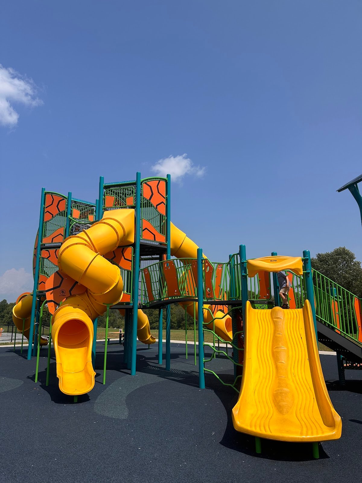 tr-proctor-park-1