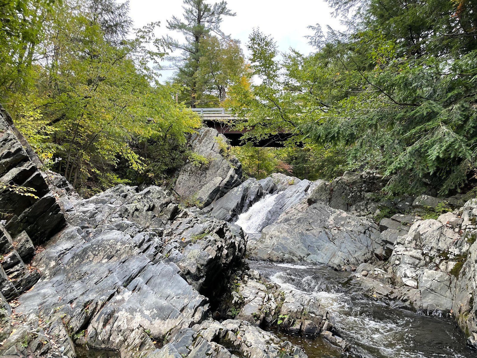 trues-ledges-natural-area-3