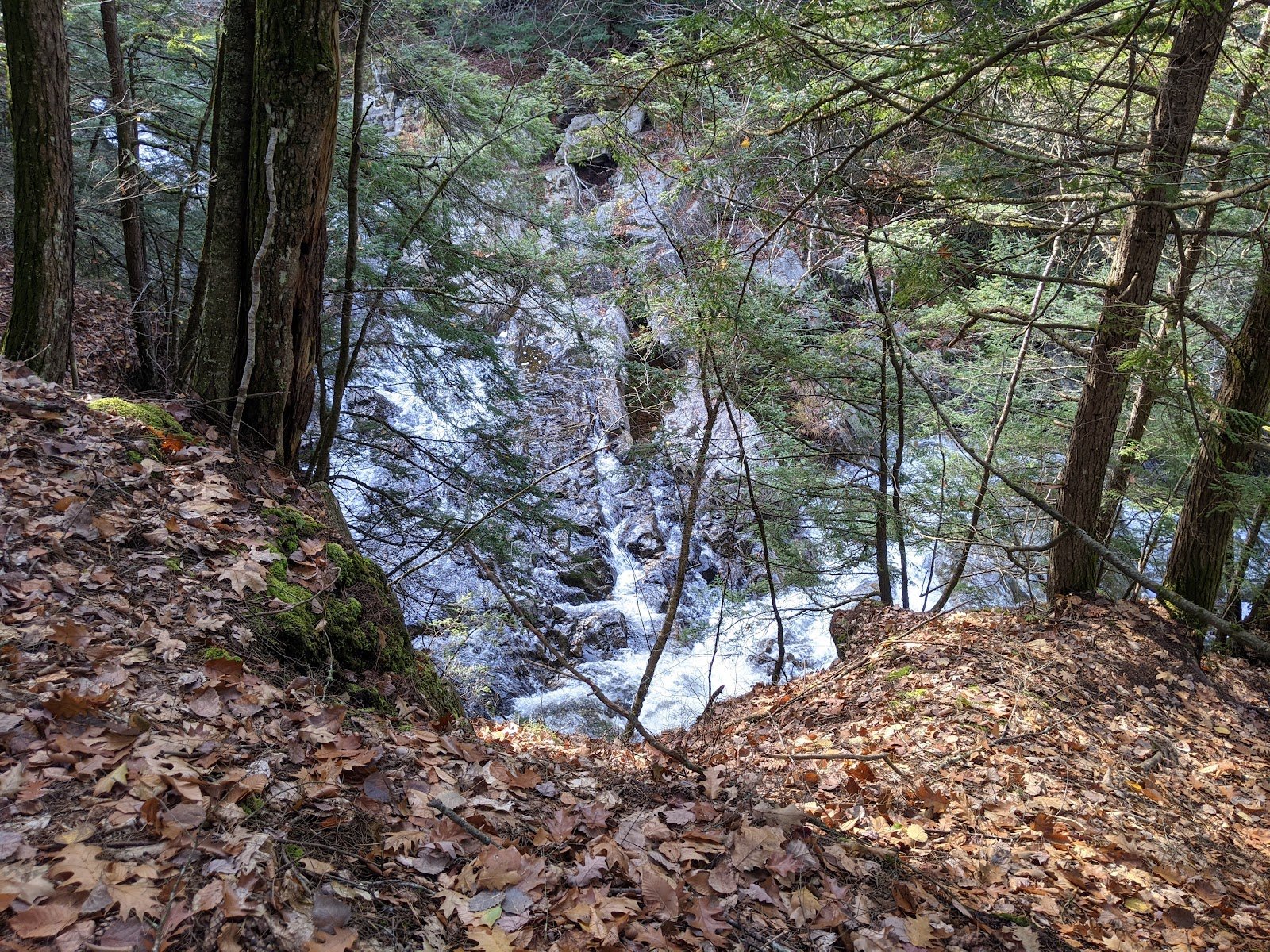 trues-ledges-natural-area-4