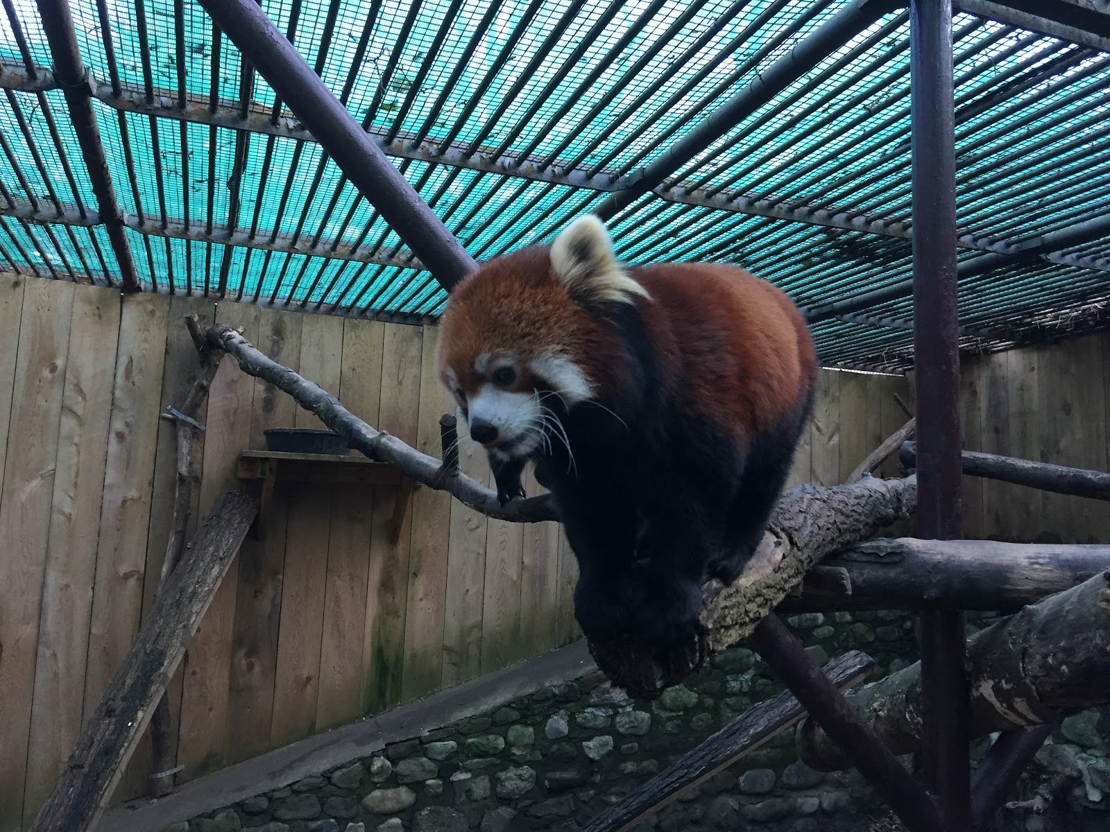 utica-zoo-3