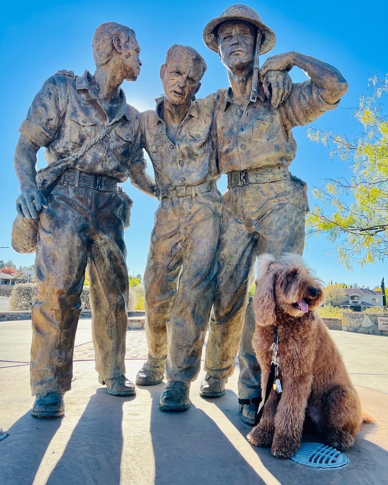 veterans-memorial-park-4