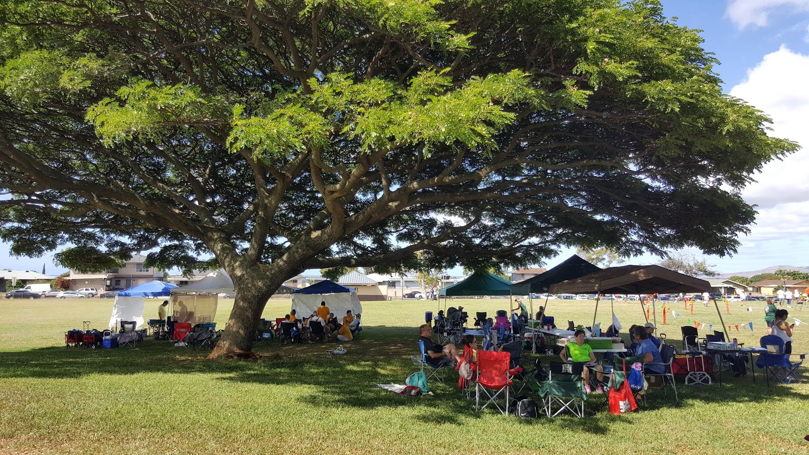 waiau-district-park-3