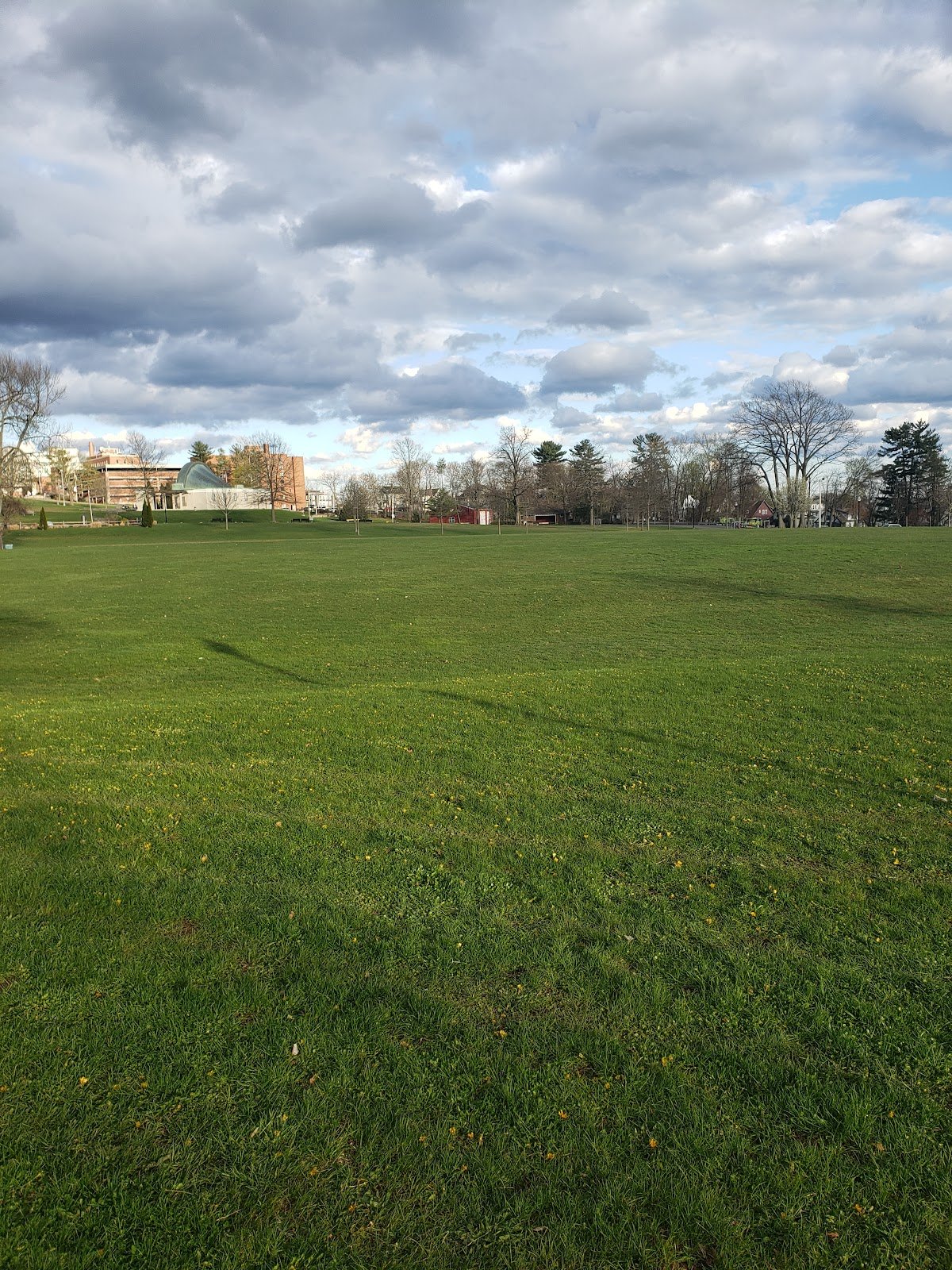 walnut-hill-park-4