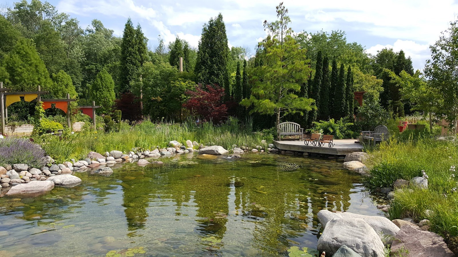 wegerzyn-gardens-metropark-3