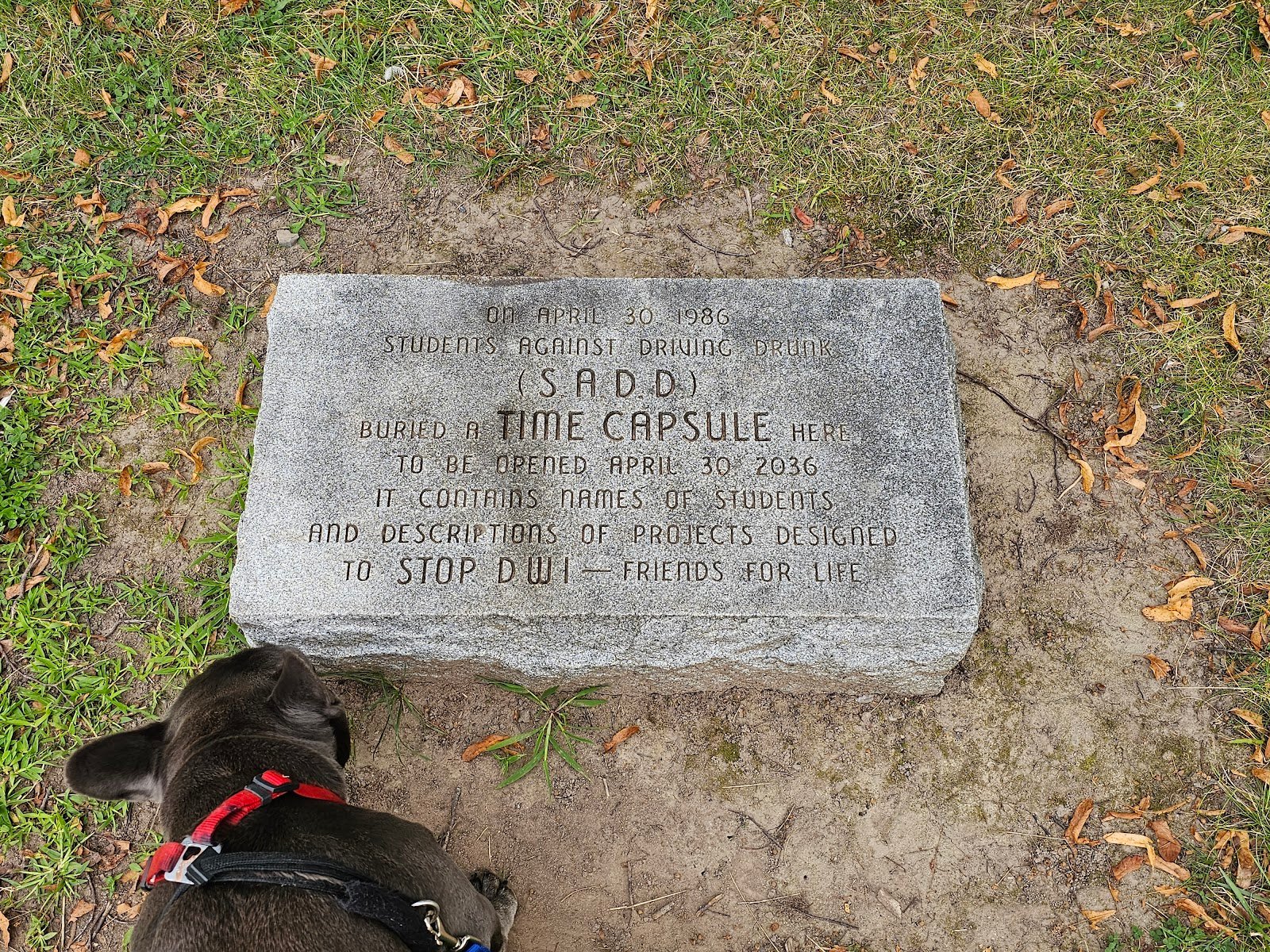 wegmans-playground-2