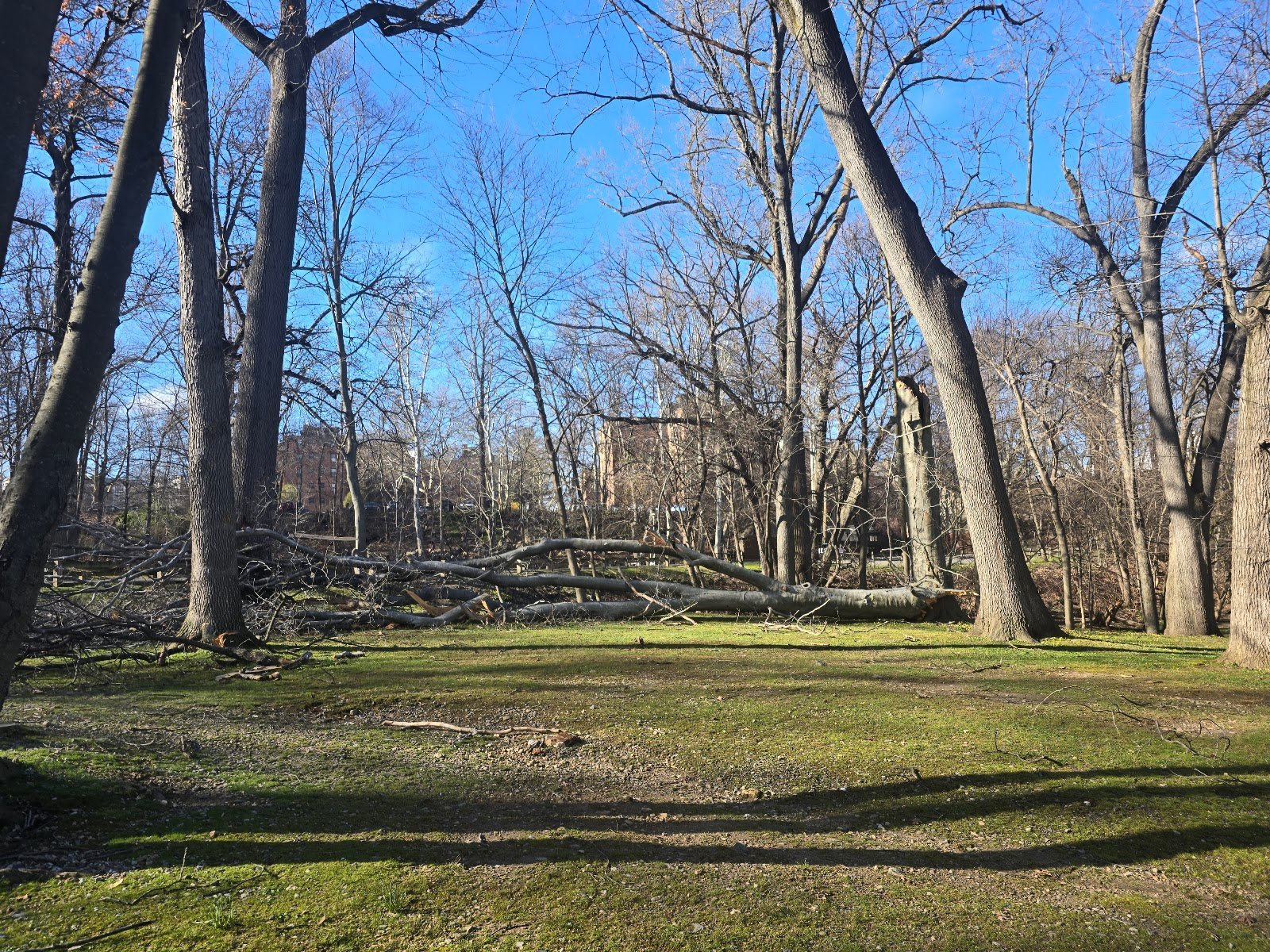 wilsons-playground-1