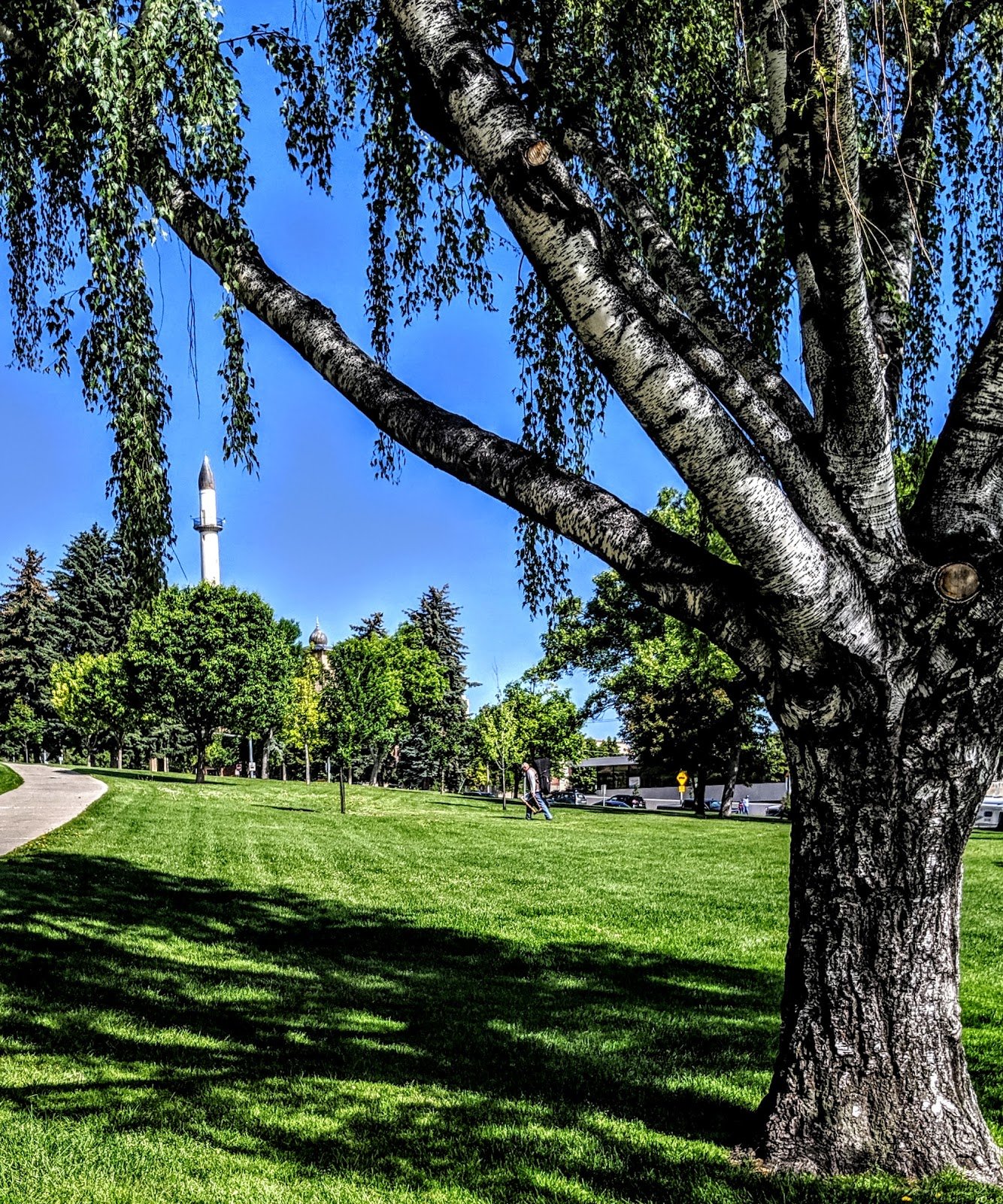 womens-park-1