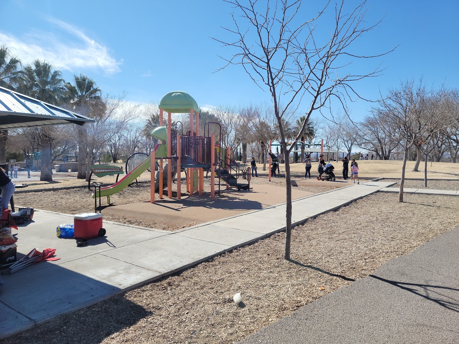 young-park-2