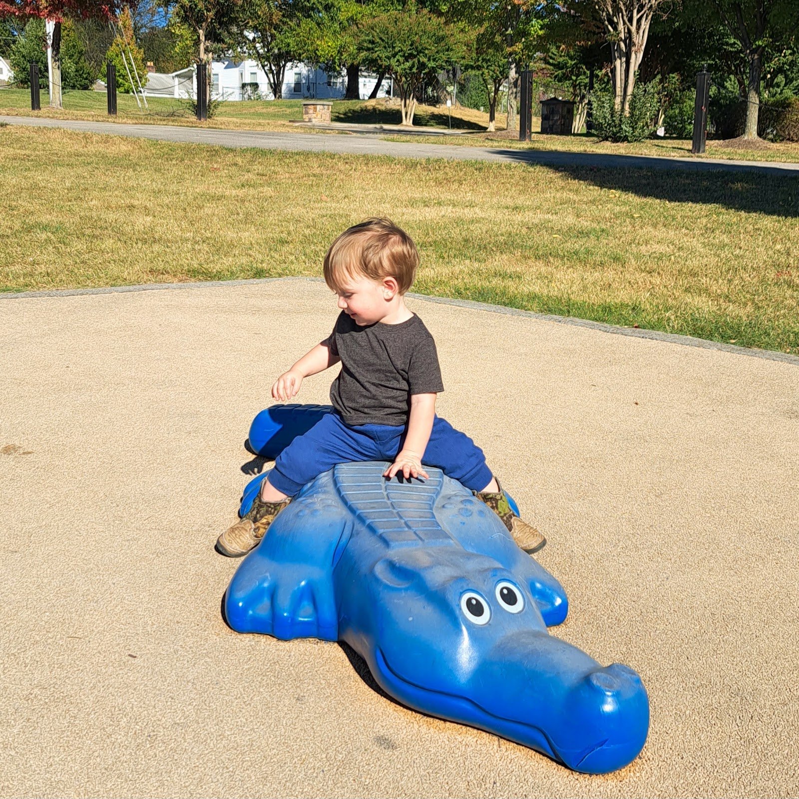 ashley-nicole-dream-playground-4