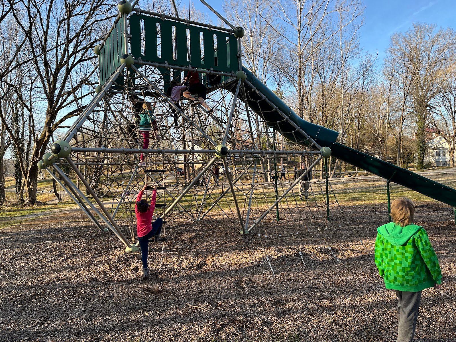 baker-creek-play-forest-1