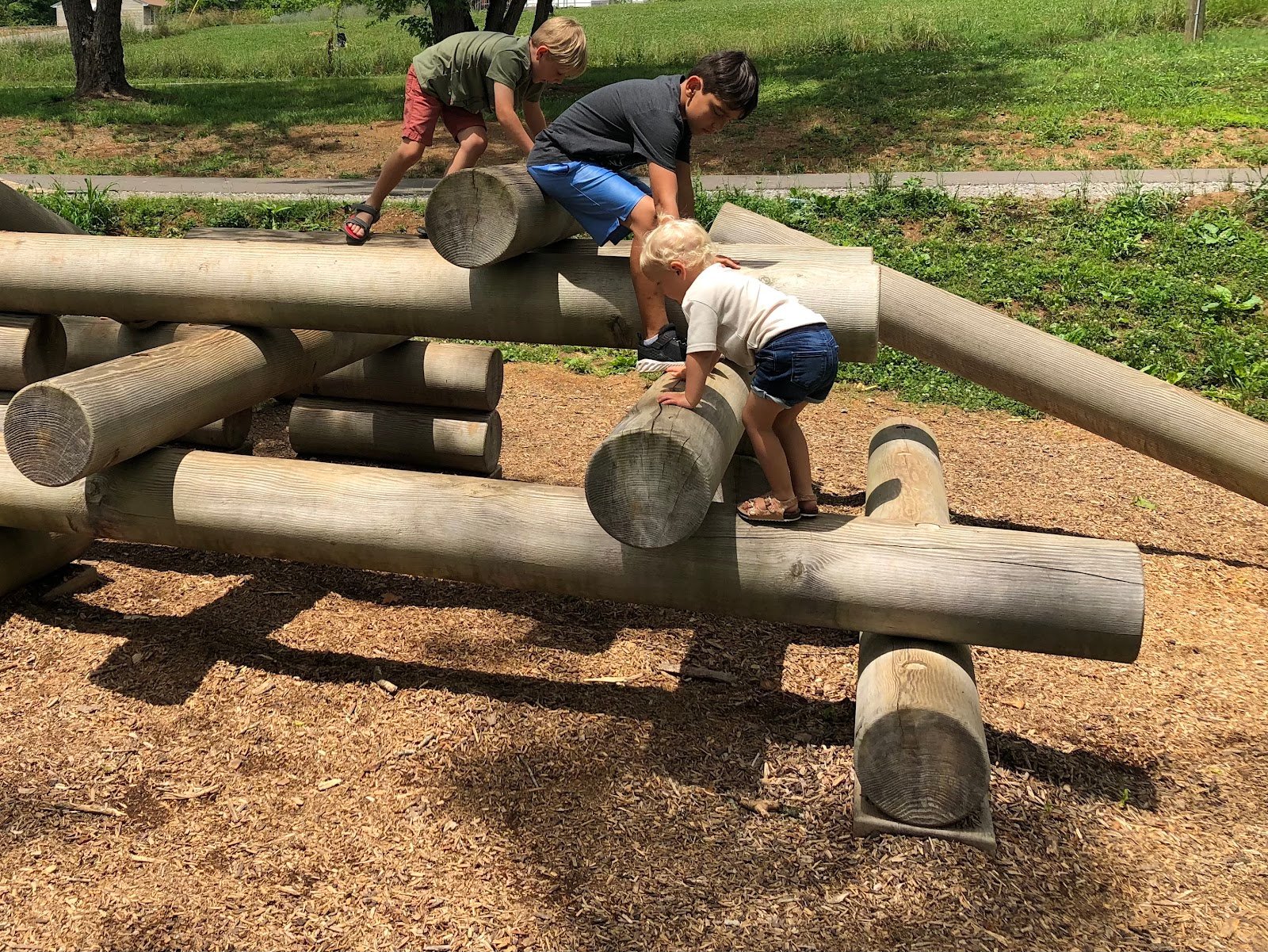 baker-creek-play-forest-2