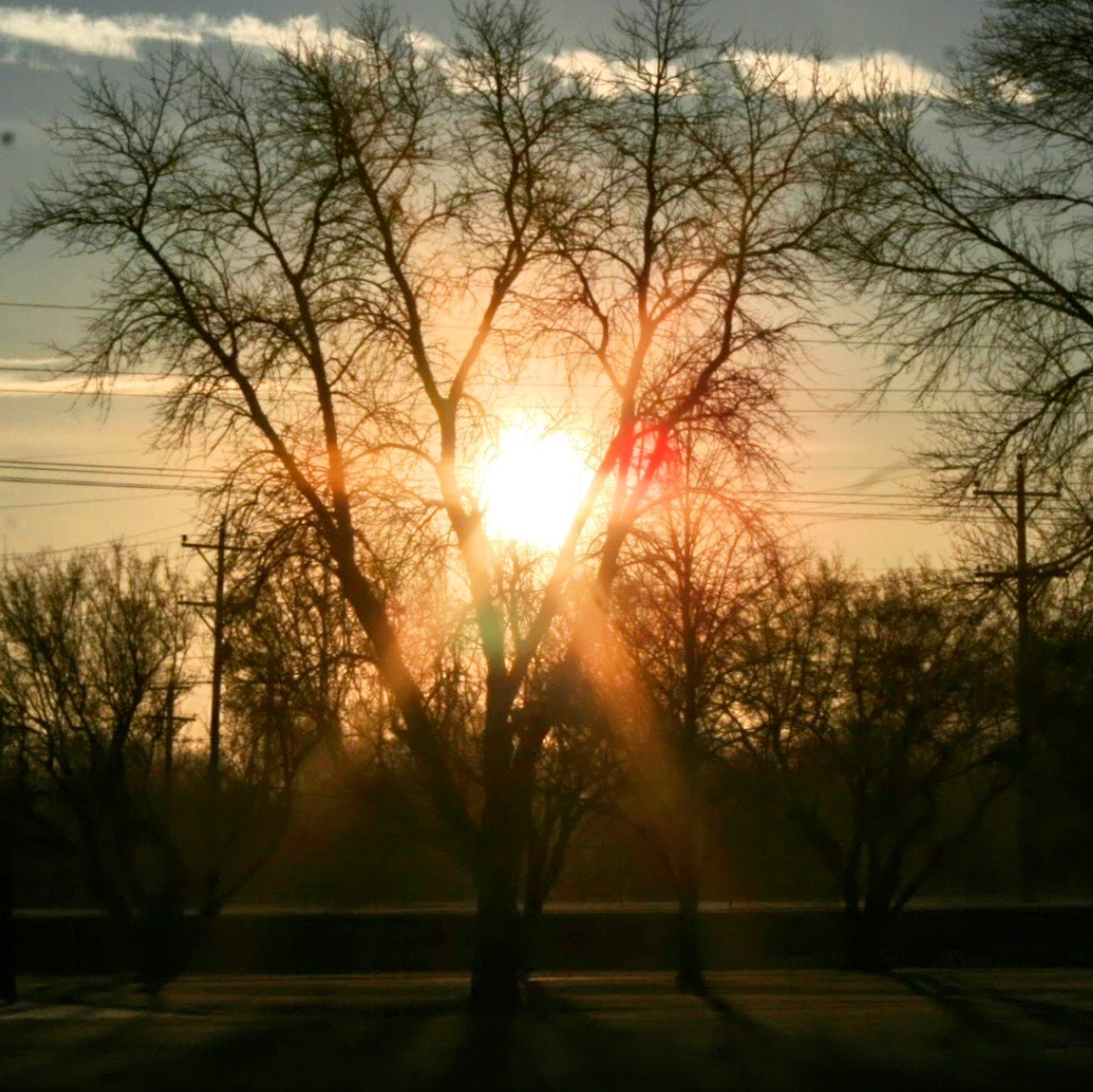 browne-park-3