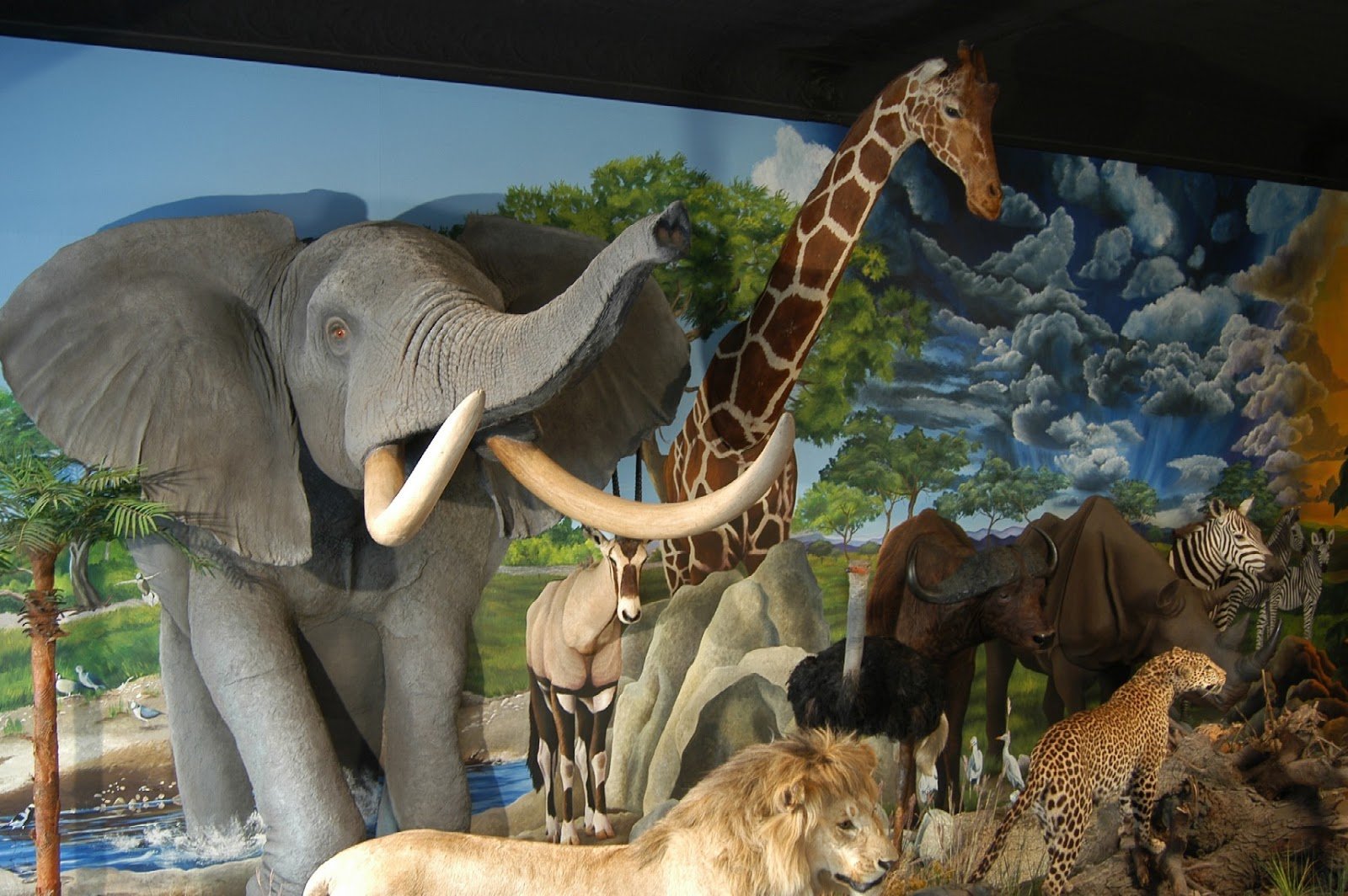 dacotah-prairie-museum-3
