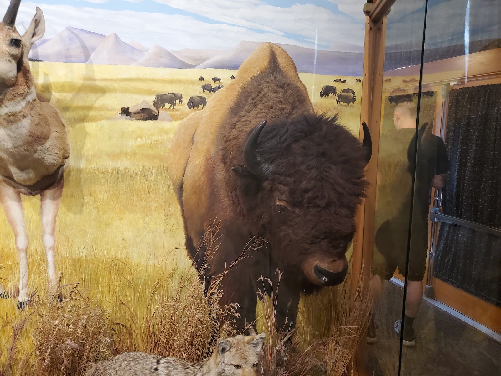 dacotah-prairie-museum-4