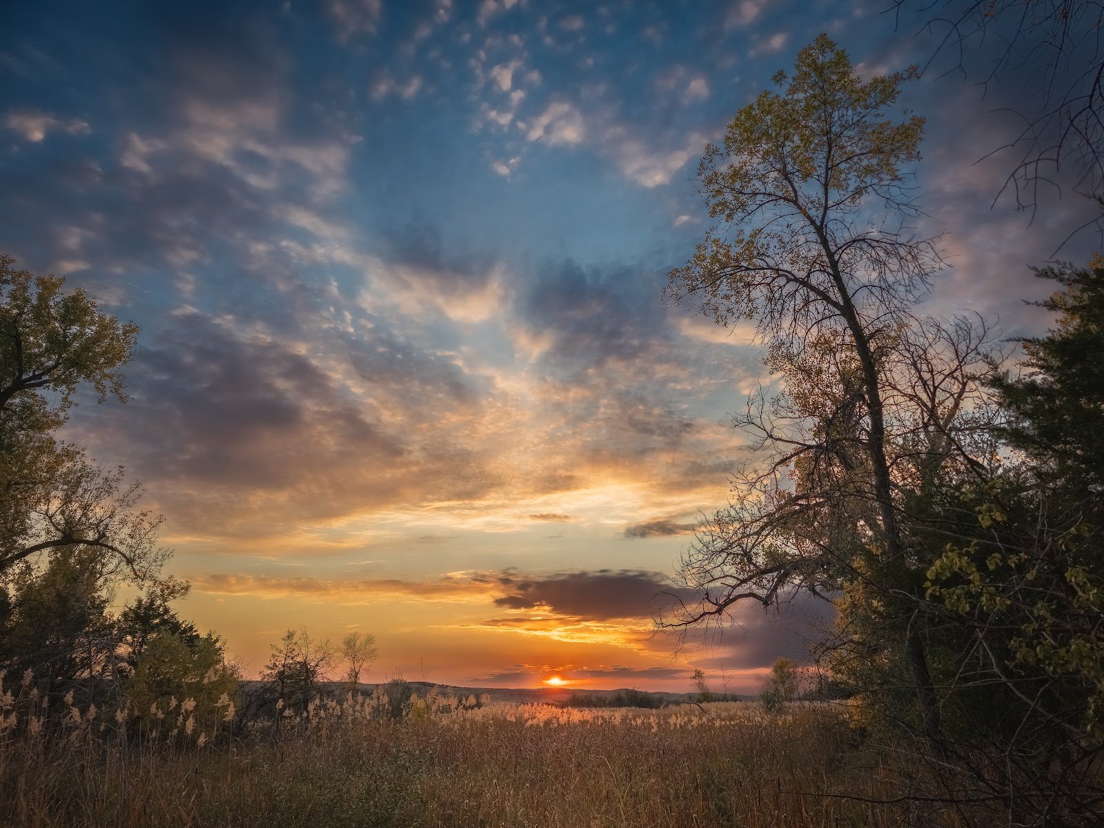 farm-island-2
