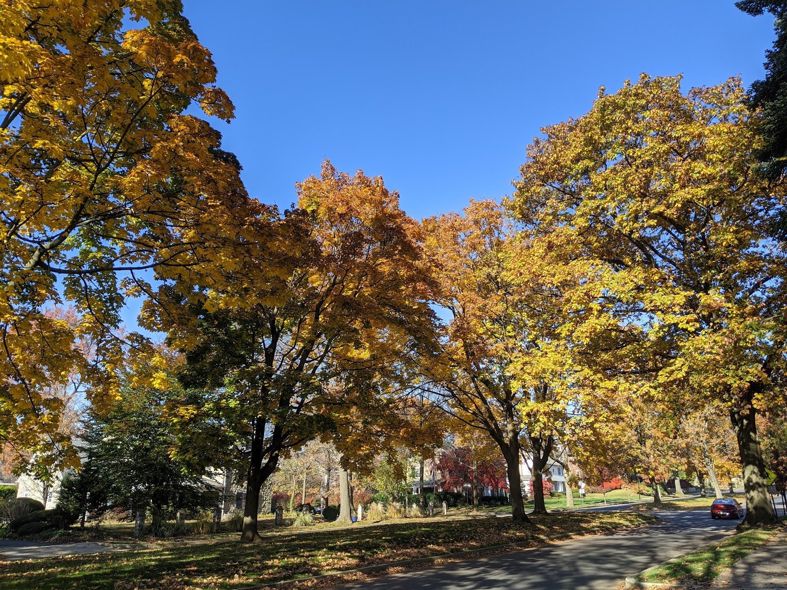 happy-hollow-playground-4