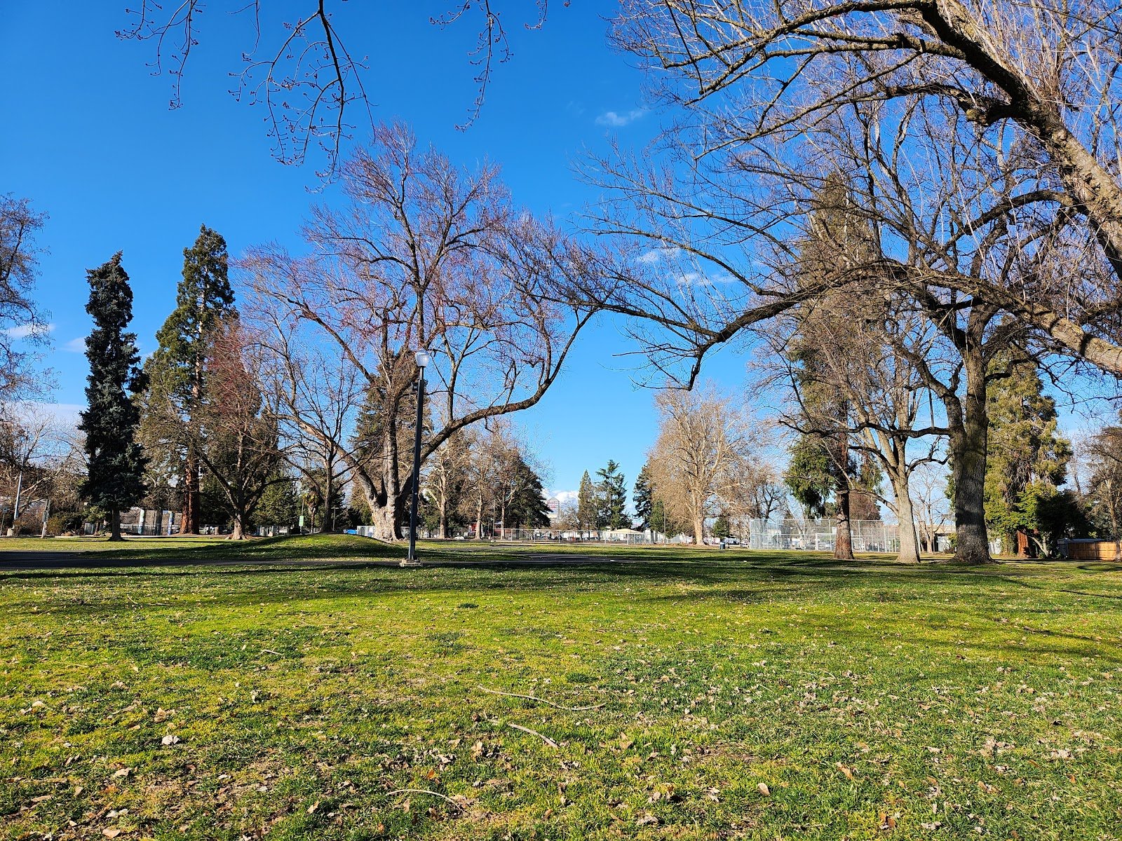 hawthorne-park-playground-4