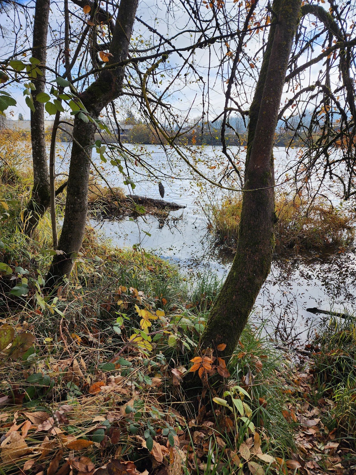 heron-playground-3