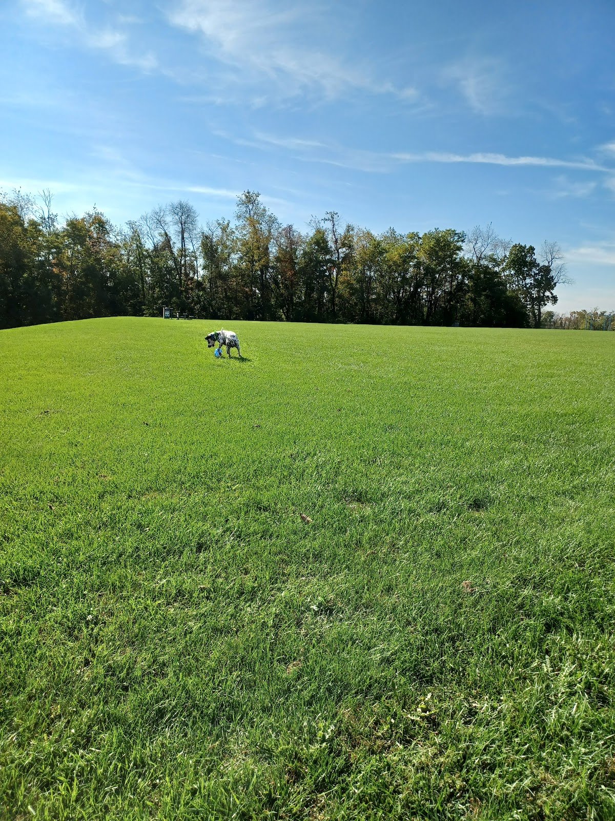 kohl-memorial-park-4