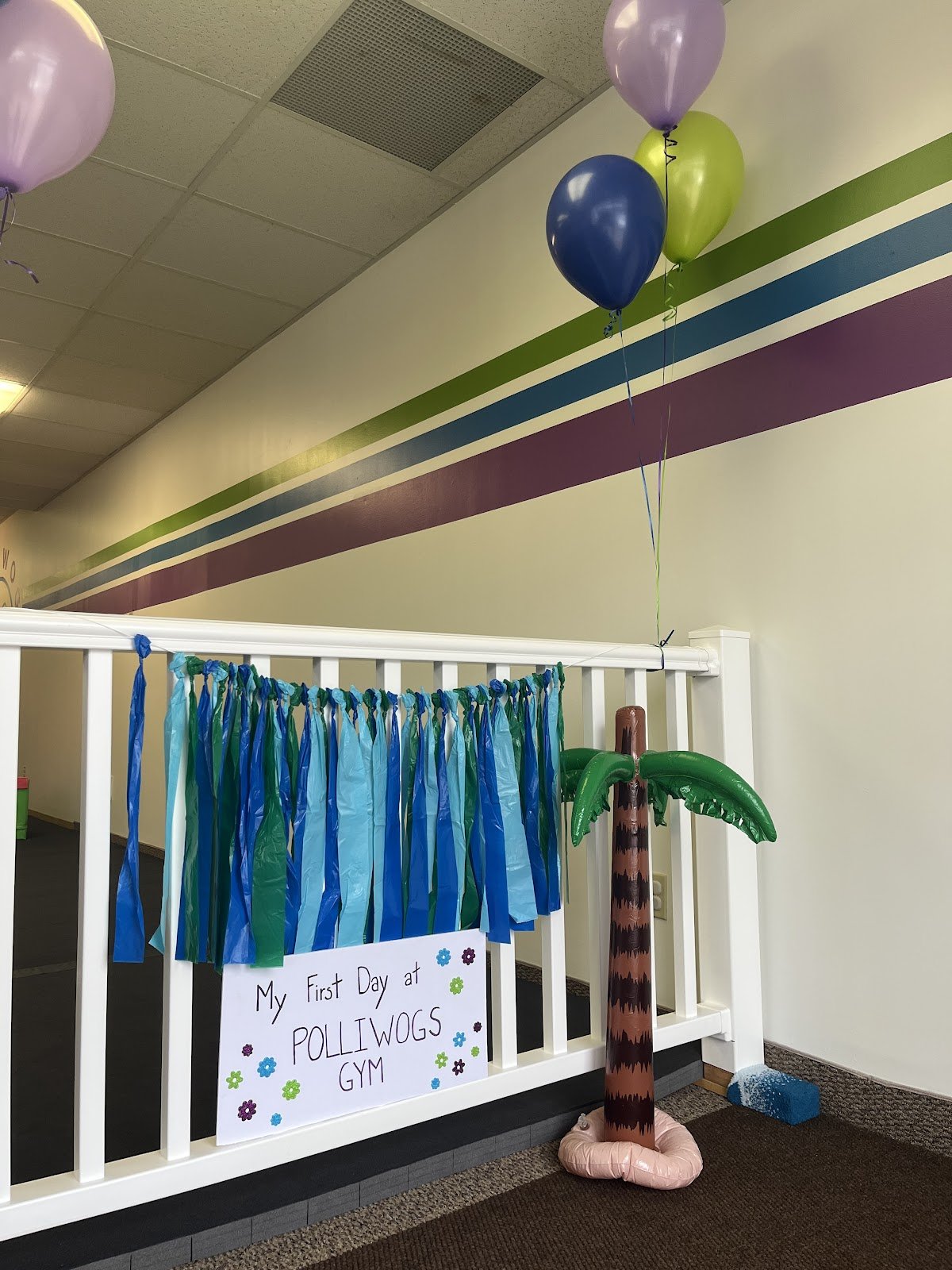 polliwogs-gym-2