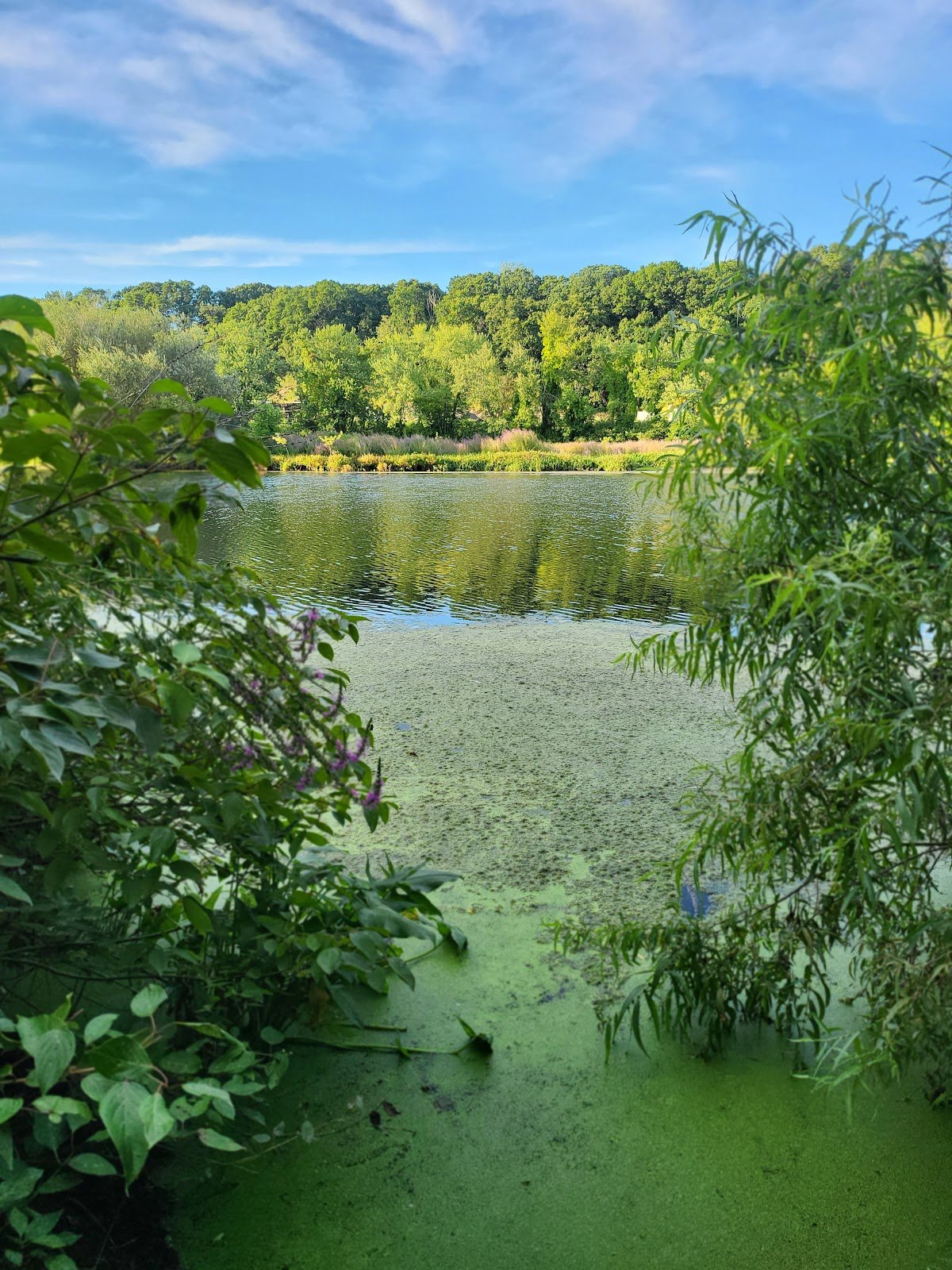 rivers-edge-recreation-complex-2