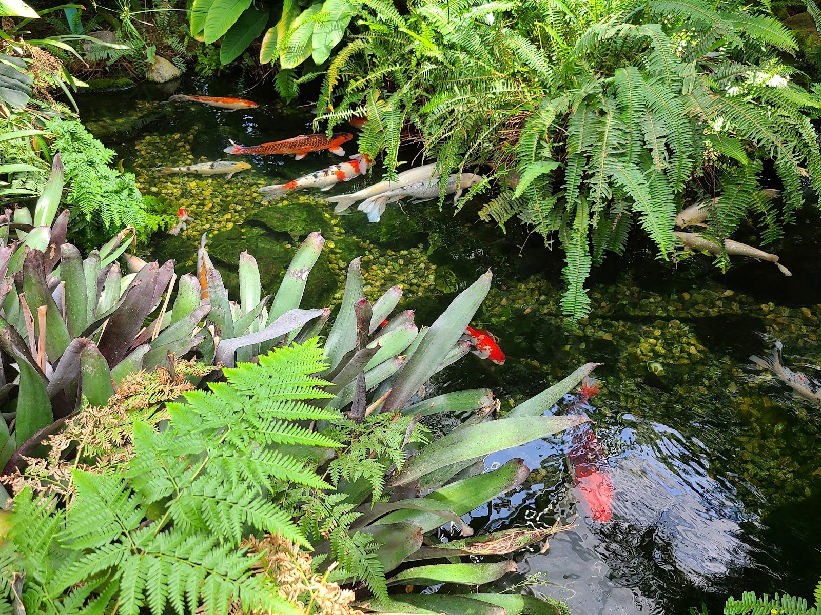 roger-williams-park-botanical-center-4