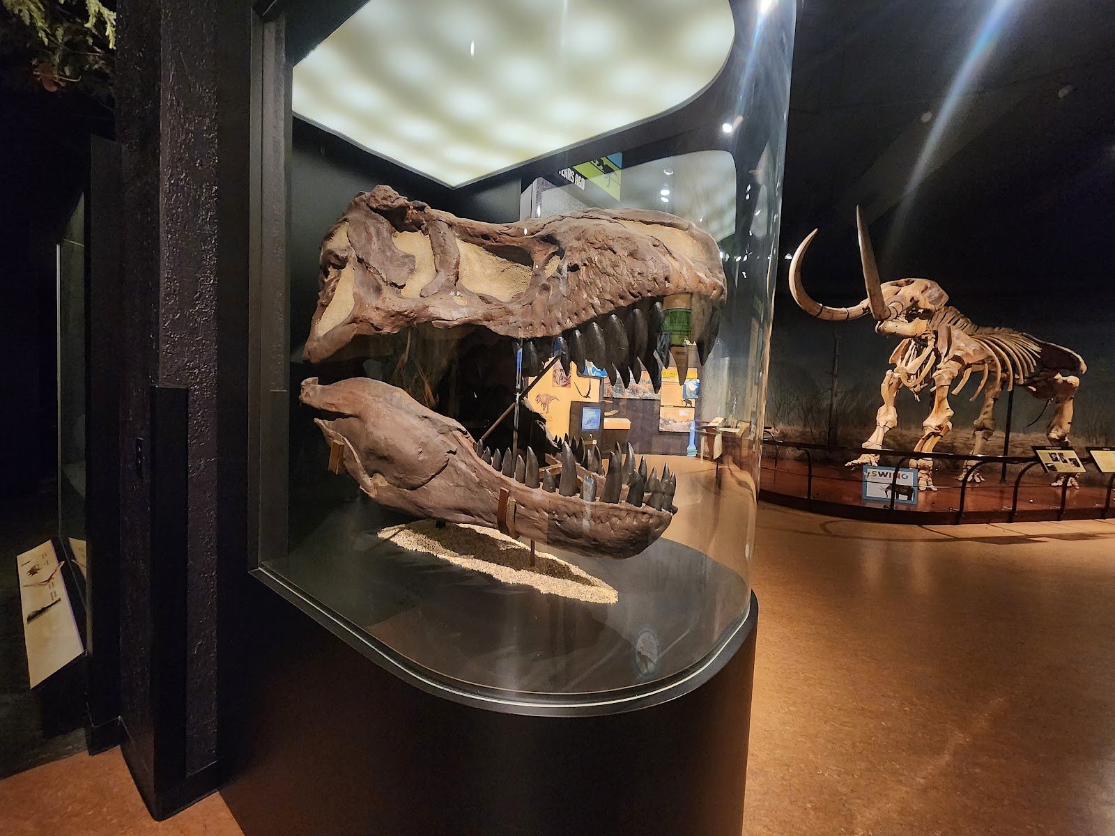 the-state-museum-of-pennsylvania-1