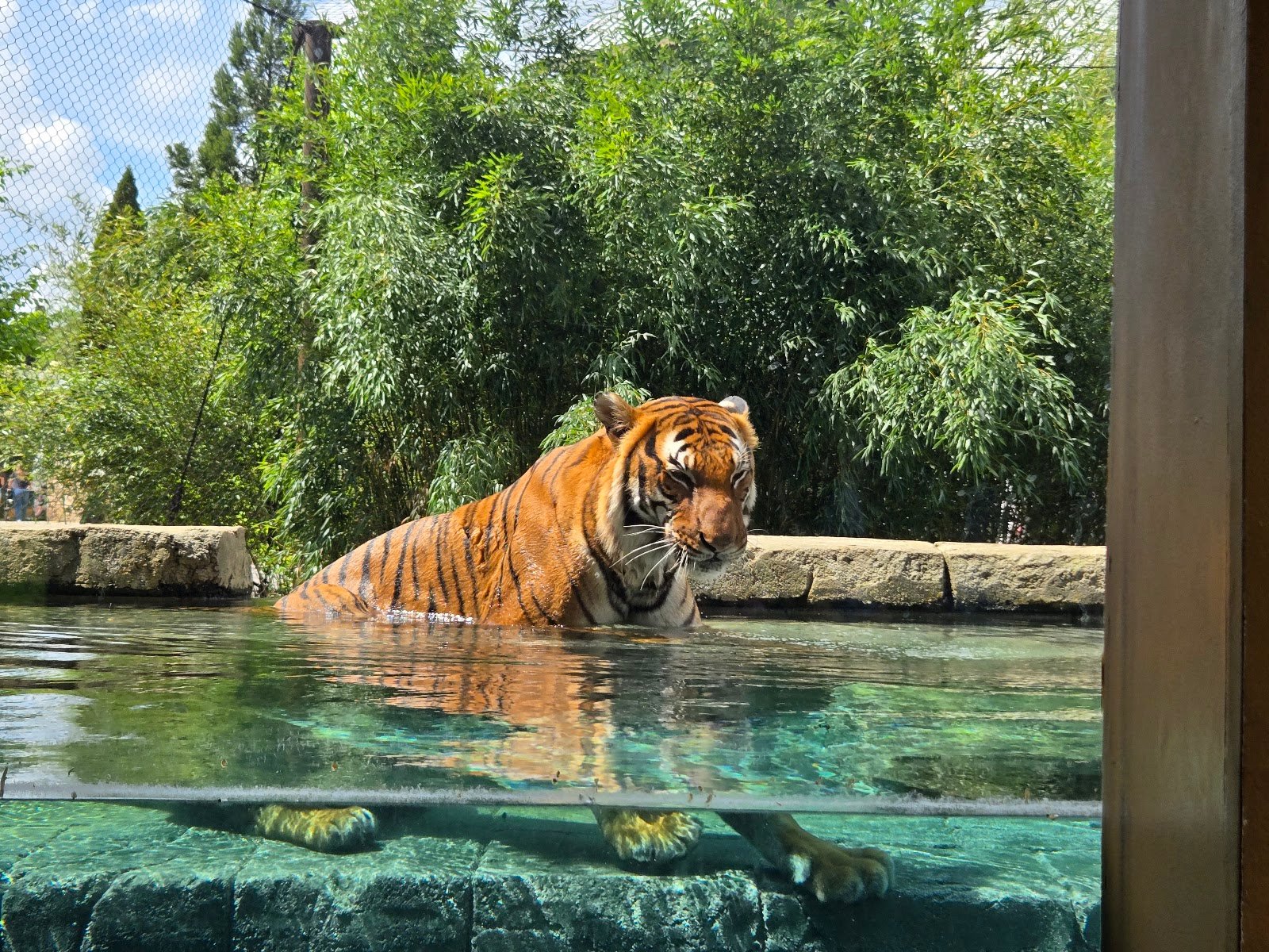 zoo-knoxville-2