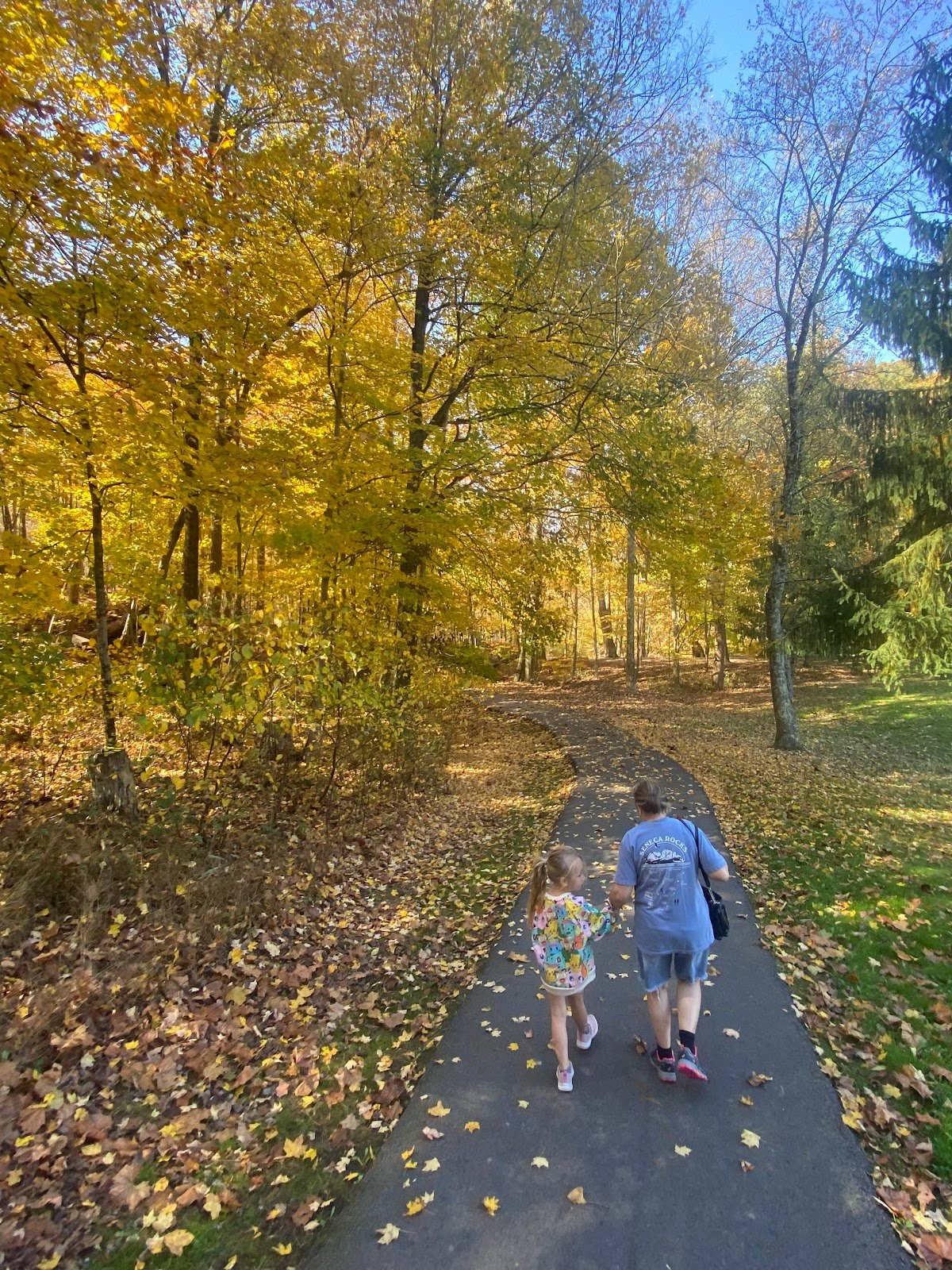 bridgeport-city-park-1