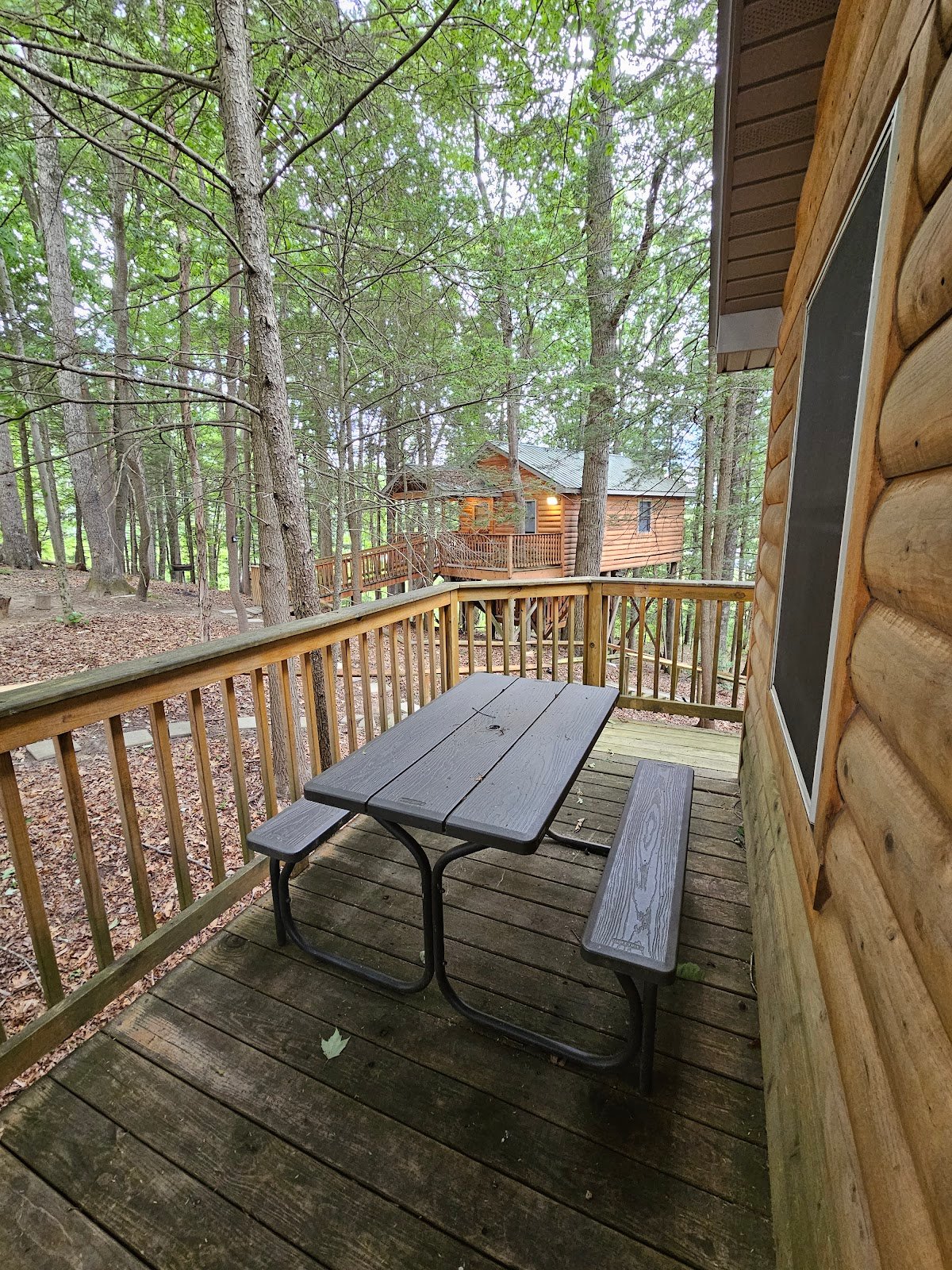 cabins-at-pine-haven-4